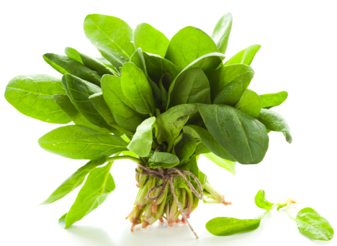 Bunch of fresh spinach on white background