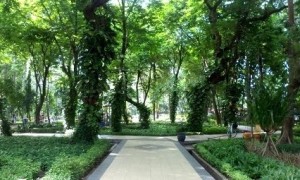 Taman Flora Surabaya