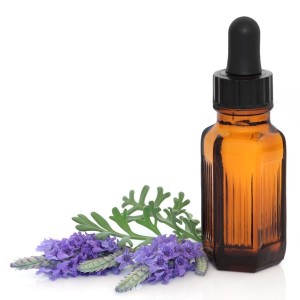 lavender-essential-oil_600x600_shutterstock_61169233