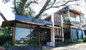 OZA Tea House2