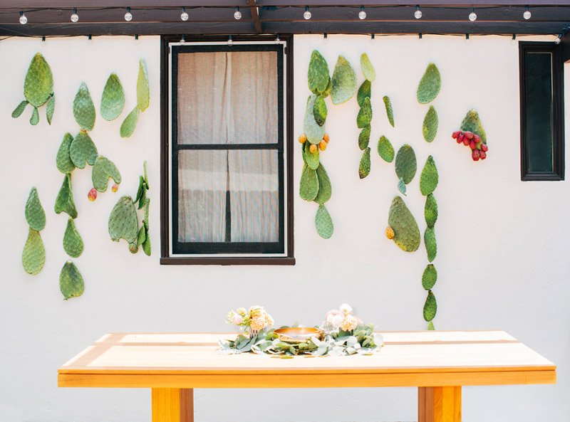 Percantik Rumah Anda Dengan Kaktus Smartmama